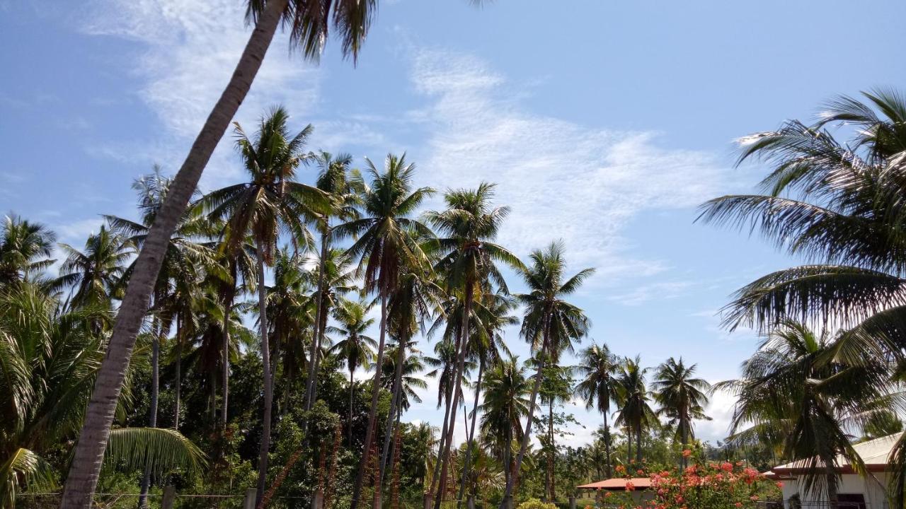 Kathleens Vacation Place 莫阿尔博阿 外观 照片